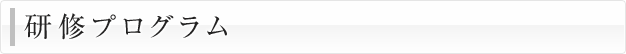 研修プログラム