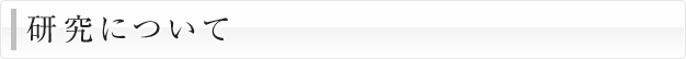 研究の概要