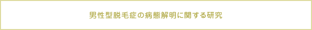 男性型脱毛症の病態解明に関する研究